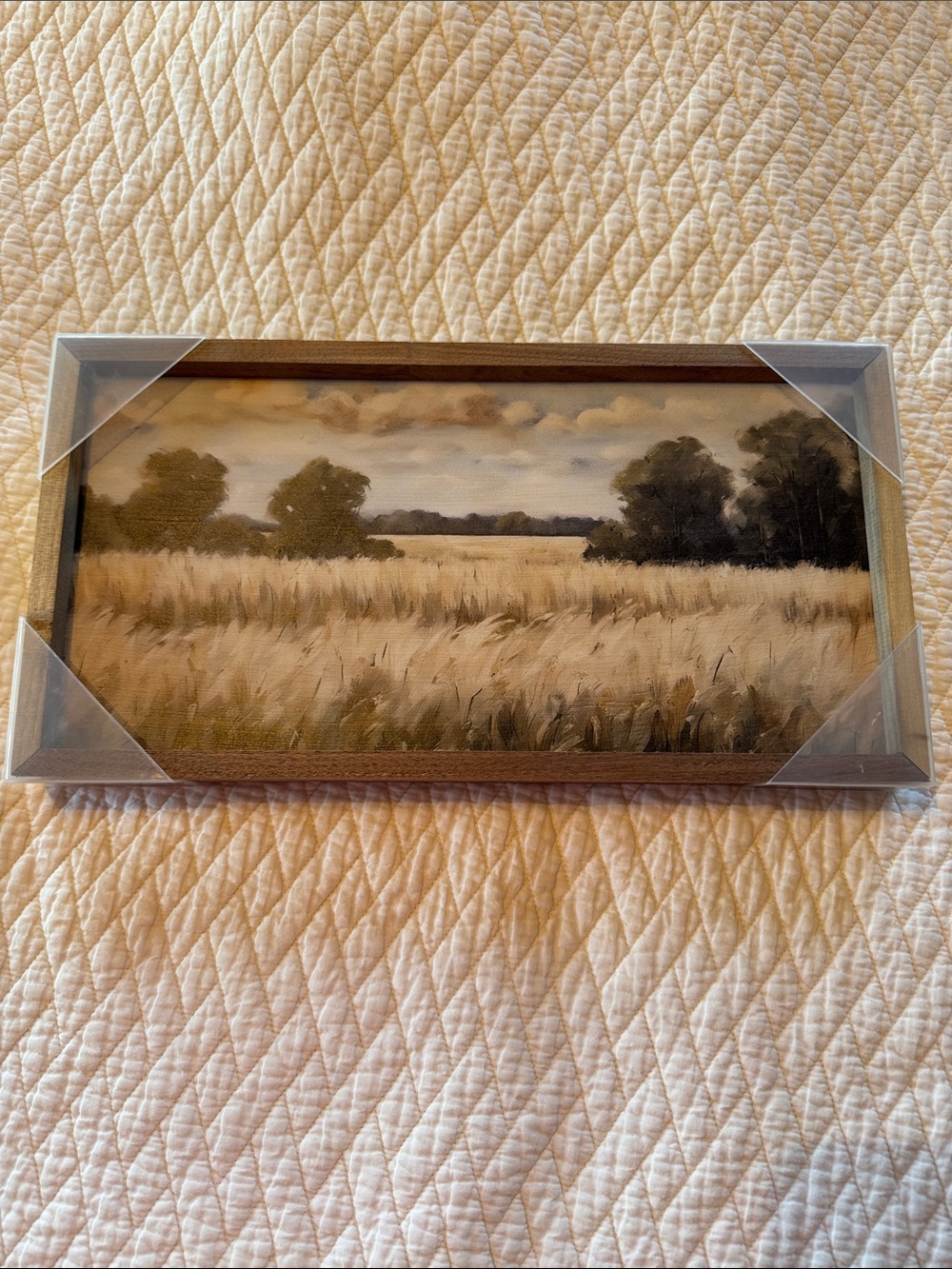 Framed Wheat Field Wall Art - Brown and Beige Landscape